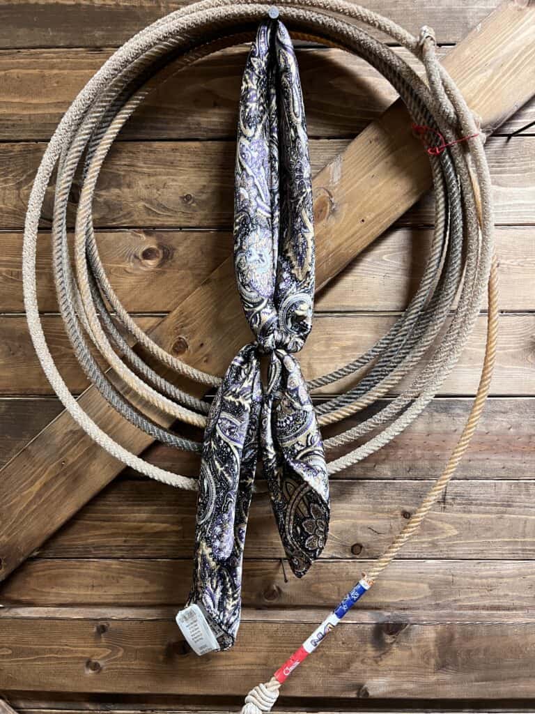 Gold/Purple Paisley Wildrag - Saddle Rags