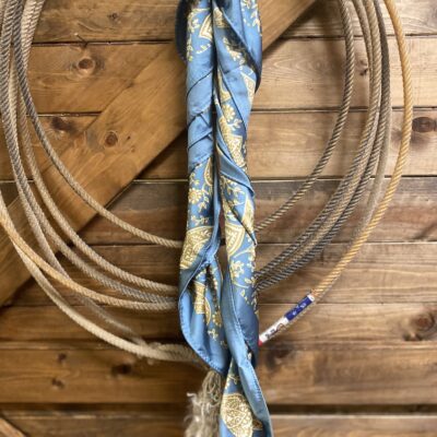 Blue/Gold Paisley Wild Rag