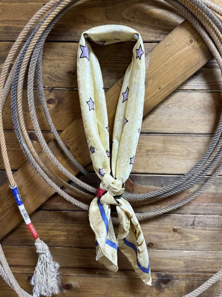 Rodeo Girls Wild Rag - Saddle Rags