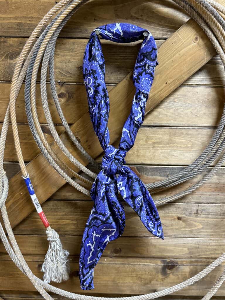 Purple/Black Paisley Wild Rag - Saddle Rags