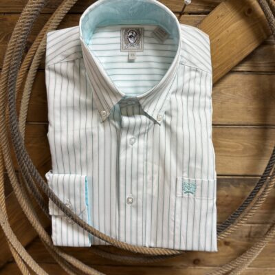 Mens Cinch L/S Tencel Button Down-Blue/Brown Stripe
