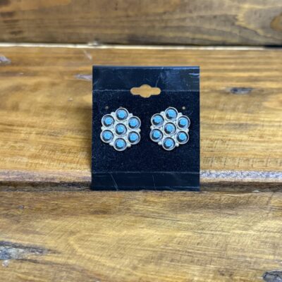 7 Stone Turquoise Snake Eye Cluster Earring