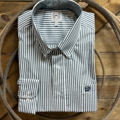 Mens Cinch Classic L/S Tencel Button Down-Blue/Olive Stripe