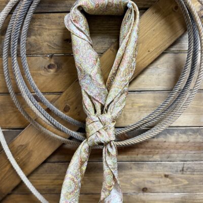 Bronze/ Brass Paisley Wild Rag
